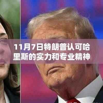 特朗普赞誉的隐藏瑰宝,哈里斯专业精神与小巷特色小店的故事