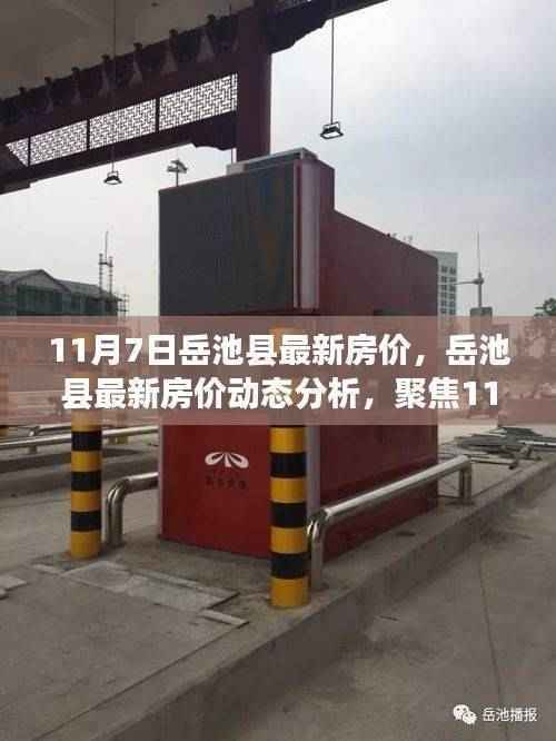 岳池县最新房价动态,聚焦市场走向与个人观点(11月7日更新)