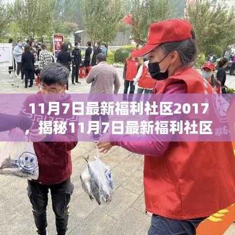揭秘,11月7日最新福利社区2017深度解读与三大要点分析