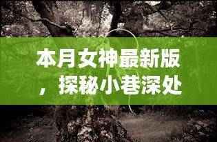 本月女神最新版,小巷深处的特色小店探秘