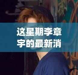 李章宇最新动态解析,产品特性、用户体验与目标用户深度探讨