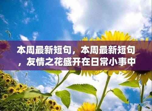 日常小事中的友情之花盛开,本周最新短句汇总