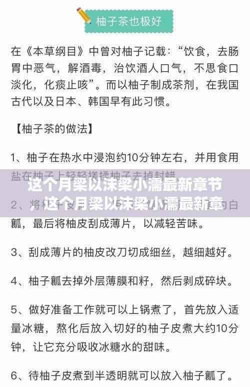 这个月梁以沫梁小濡最新章节,深度解析与书评