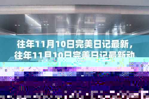 往年11月10日完美日记最新动态,时尚美妆界的璀璨瞬间回顾