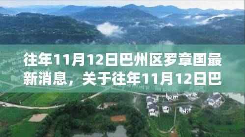 巴州区罗章国最新消息深度解析,历年11月12日动态回顾
