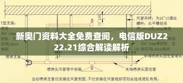 新奥门资料大全免费查阅,电信版DUZ222.21综合解读解析
