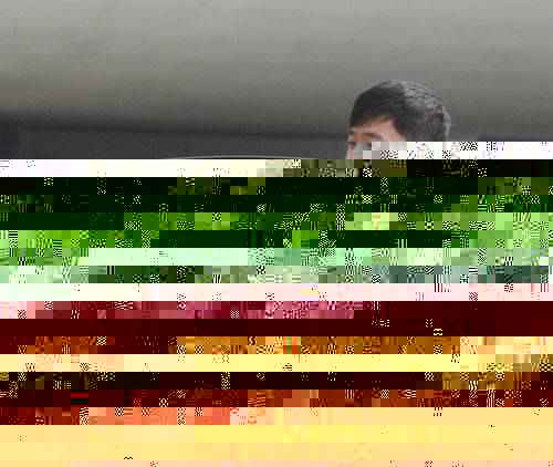 特马资料,动态词语解析_CAT346.13真神