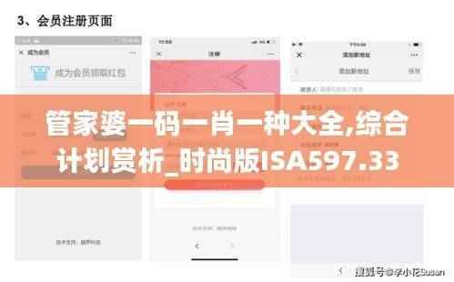 管家婆一码一肖一种大全,综合计划赏析_时尚版ISA597.33