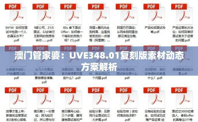 澳门管家婆:UVE348.01复刻版素材动态方案解析