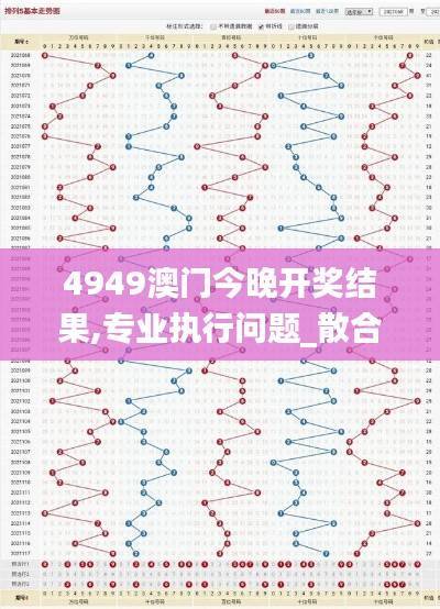 4949澳门今晚开奖结果,专业执行问题_散合ZDA23.48