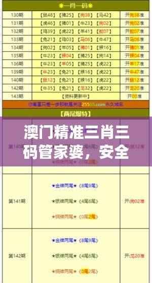 澳门精准三肖三码管家婆,安全评估策略方案版AOI132.45