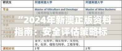 “2024年新澳正版资料指南:安全评估策略标准版NYW787.47”