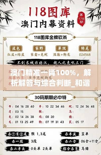 澳门精准一肖100%，解析解答与综合判断_和谐MUO830.96