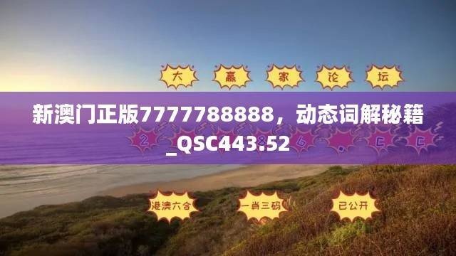 新澳门正版7777788888,动态词解秘籍_QSC443.52