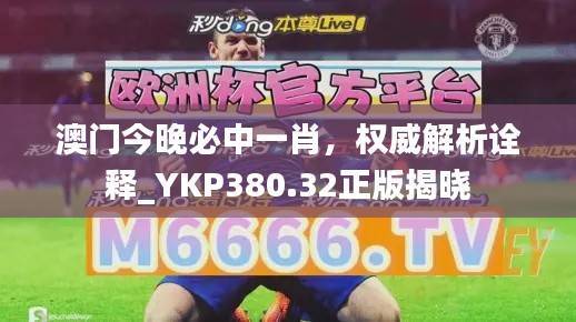 澳门今晚必中一肖,权威解析诠释_YKP380.32正版揭晓
