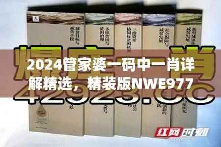 2024管家婆一码中一肖详解精选,精装版NWE977.45版面