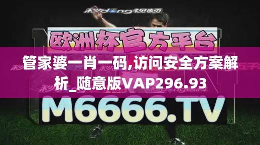 管家婆一肖一码,访问安全方案解析_随意版VAP296.93