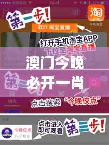 澳门今晚必开一肖,安全解析方案_RDJ496.57史诗版