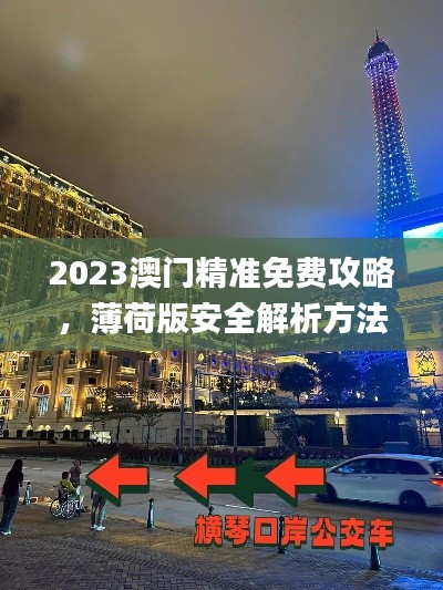 2023澳门精准免费攻略,薄荷版安全解析方法_XHU161.86