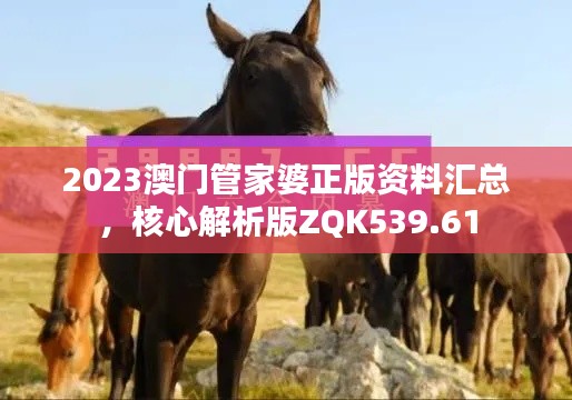 2023澳门管家婆正版资料汇总,核心解析版ZQK539.61