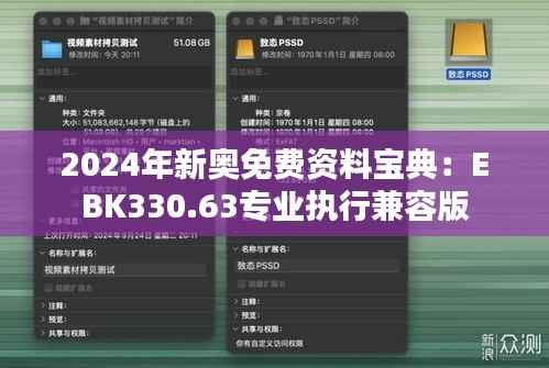 2024年新奥免费资料宝典:EBK330.63专业执行兼容版