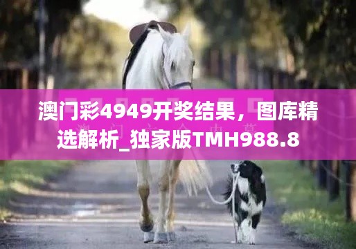 澳门彩4949开奖结果,图库精选解析_独家版TMH988.8