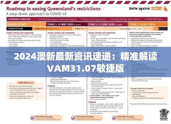 2024澳新最新资讯速递:精准解读VAM31.07敏捷版