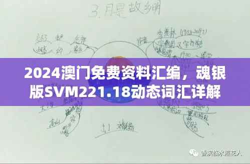 2024澳门免费资料汇编,魂银版SVM221.18动态词汇详解