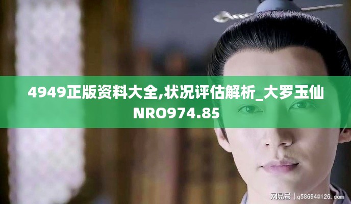 4949正版资料大全,状况评估解析_大罗玉仙NRO974.85