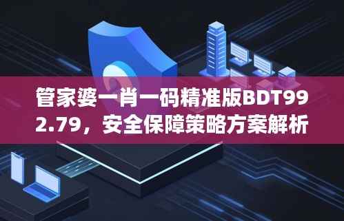 管家婆一肖一码精准版BDT992.79,安全保障策略方案解析