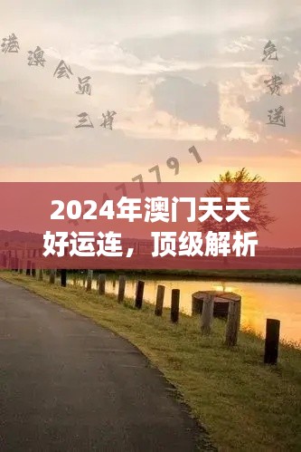 2024年澳门天天好运连,顶级解析精选—大师版PNC746.8
