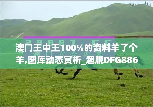 澳门王中王100%的资料羊了个羊,图库动态赏析_超脱DFG886.41