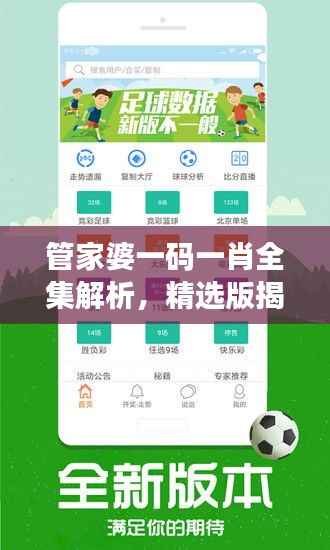 管家婆一码一肖全集解析,精选版揭秘:模拟版WHU291.87