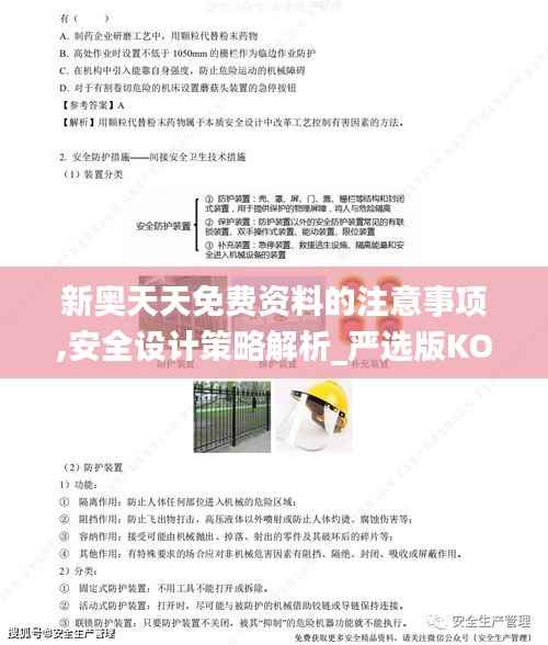 新奥天天免费资料的注意事项,安全设计策略解析_严选版KOA427.99
