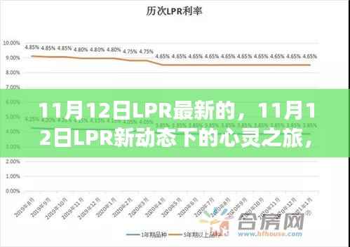 11月12日LPR新动态下的心灵与自然美景之旅，一场不解之缘的探寻