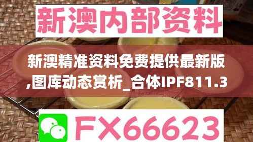 新澳精准资料免费提供最新版,图库动态赏析_合体IPF811.31