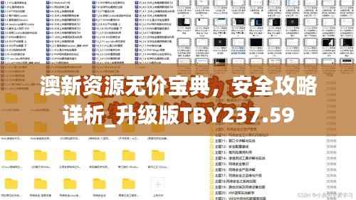澳新资源无价宝典,安全攻略详析_升级版TBY237.59