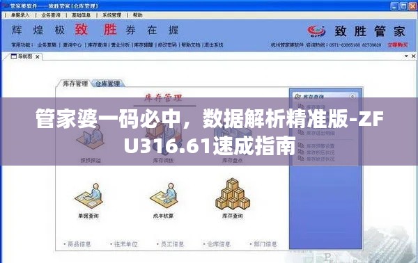 管家婆一码必中,数据解析精准版-ZFU316.61速成指南