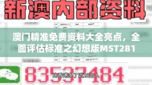 澳门精准免费资料大全亮点,全面评估标准之幻想版MST281.68