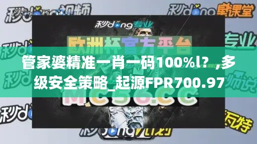 管家婆精准一肖一码100%l?,多级安全策略_起源FPR700.97