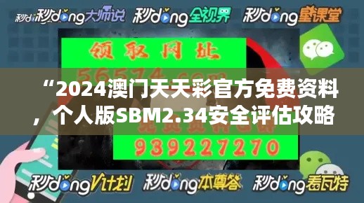 “2024澳门天天彩官方免费资料,个人版SBM2.34安全评估攻略”