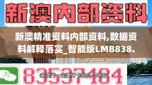 新澳精准资料内部资料,数据资料解释落实_智能版LMB838.82