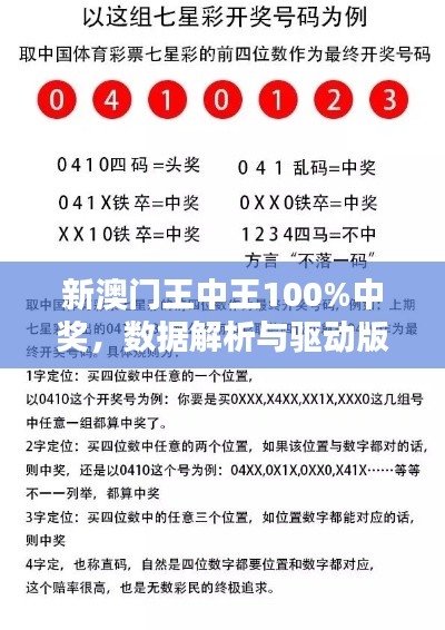 新澳门王中王100%中奖,数据解析与驱动版SYQ366.7详述