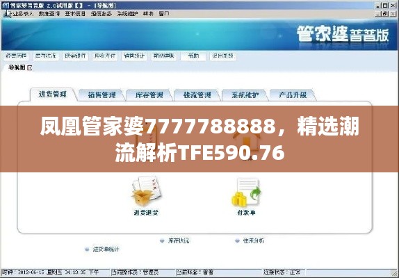 凤凰管家婆7777788888,精选潮流解析TFE590.76