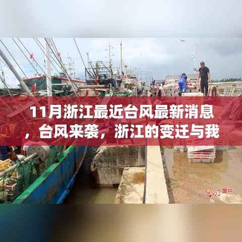 浙江台风来袭背后的变迁与励志故事,最新消息揭示挑战与希望的力量