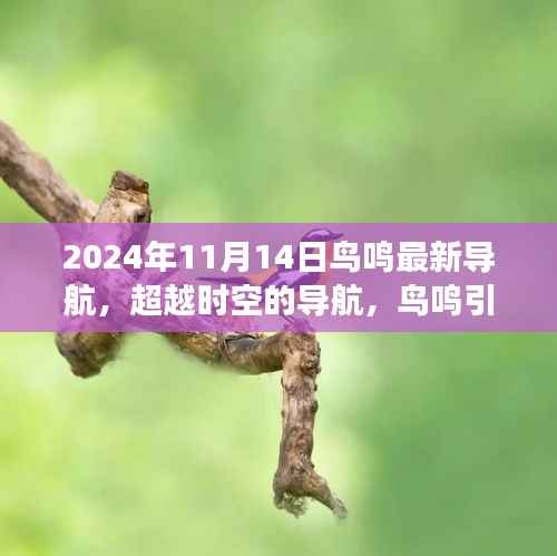 超越时空的鸟鸣导航,引领学习变革与自信重塑之旅