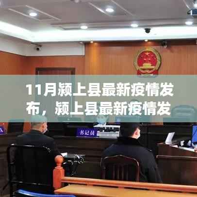 11月颍上县疫情最新动态,深度解读与要点解析