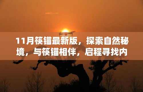 11月筷锚最新版,探索自然秘境,启程心灵之旅