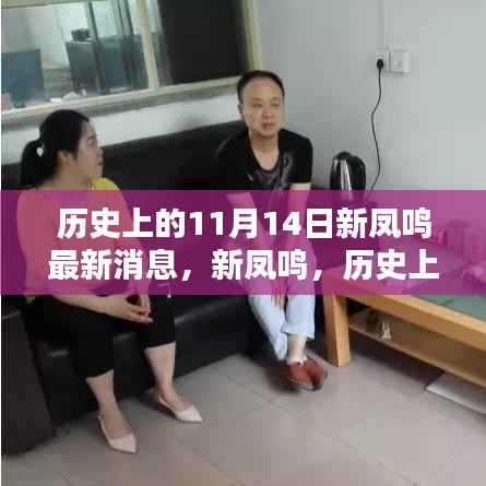 历史上的11月14日新凤鸣重要时刻回顾,最新消息一览
