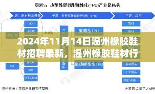 2024年温州橡胶鞋材行业招聘热潮解析,人才盛宴即将开启